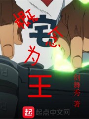 概念为王封面