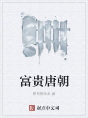富贵唐朝封面