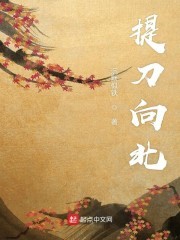 提刀向北封面