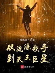 从流浪歌手到天王巨星封面