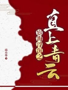 官场：书记的第一红人封面