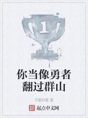 你当像勇者翻过群山封面