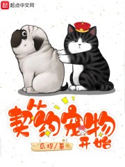 从契约宠物开始封面