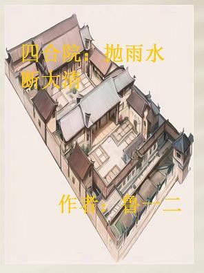 四合院：抛雨水断大清封面