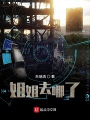 姐姐去哪了封面