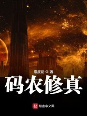 码农修真封面
