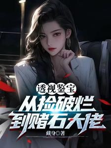 透视神瞳:从捡漏开始暴富封面