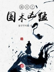 港片之国术凶猛封面