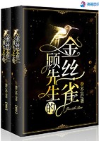 顾先生的金丝雀封面