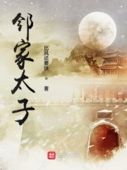 邻家太子封面