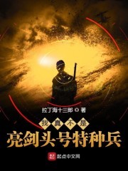我真不是亮剑头号特种兵封面