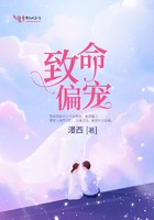 致命偏宠封面