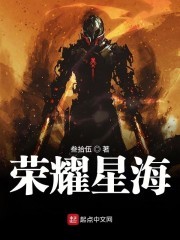 荣耀星海封面