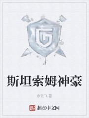 斯坦索姆神豪封面