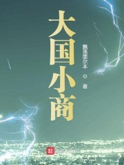 大国小商封面