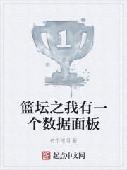 篮坛之我有一个数据面板封面
