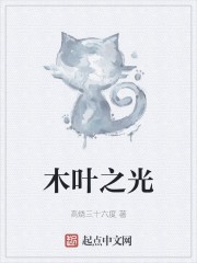 木叶之光封面