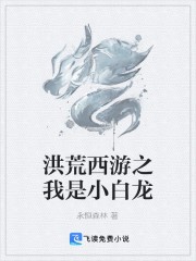 我的老婆是木叶纲手