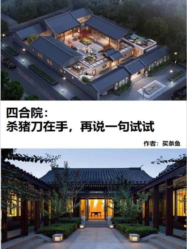 四合院：杀猪刀在手再说一句试试封面