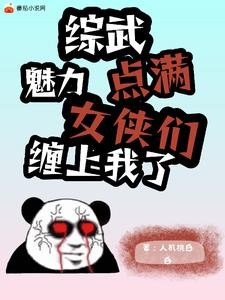 综武:满级魅力的我,真是太难了封面