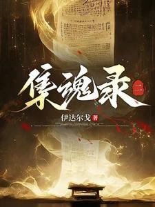 集魂录二封面