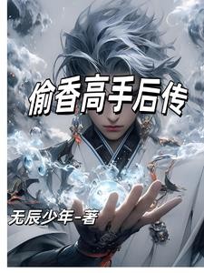偷香高手后传封面