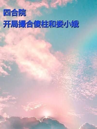 四合院开局撮合傻柱和娄小娥封面