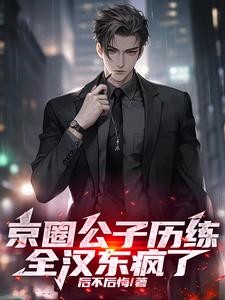 京圈公子历练,全汉东疯了封面