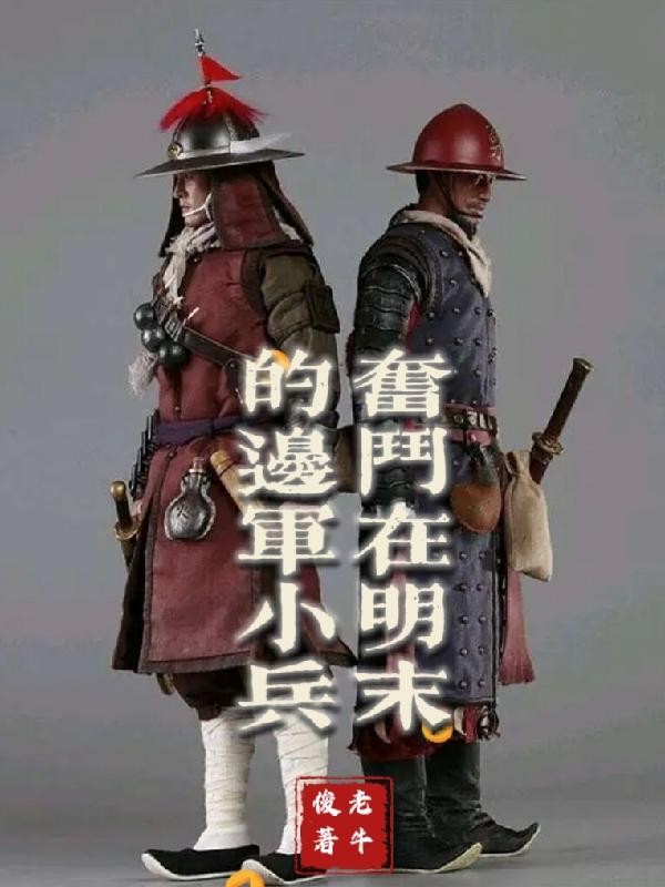 奋斗在明末的边军小兵封面
