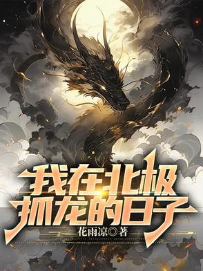 我在北极抓龙的日子封面