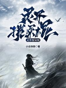 灵界搅屎棍封面