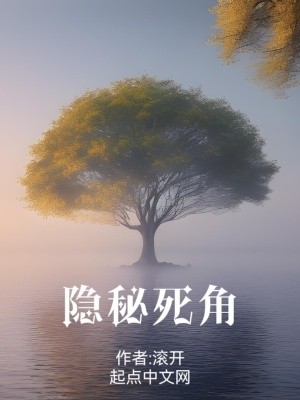隐秘死角封面