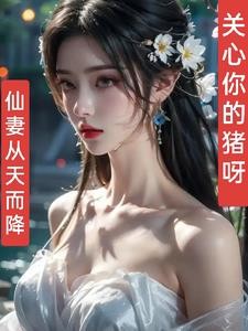 仙妻从天而降封面