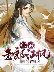 综武：玉郎江枫封面
