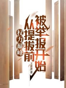 权力巅峰：从提拔前被举报开始封面