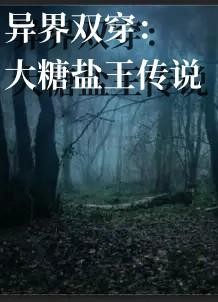 异界双穿：大糖盐王传说封面