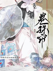 甄嬛传之美人卷珠帘封面