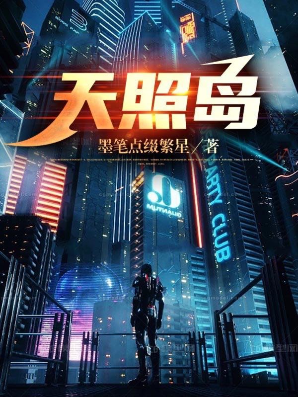 天照岛封面