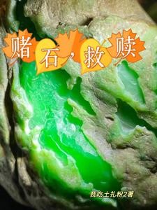 给毛料开窗,没有人比我更专业封面