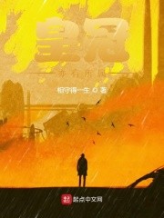 因为怕输就全点攻击力了