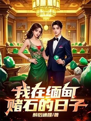 我在缅甸赌石的日子封面
