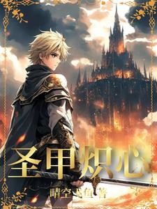 圣甲炽心封面