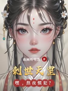 刺世天罡封面
