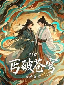 丐破苍穹封面