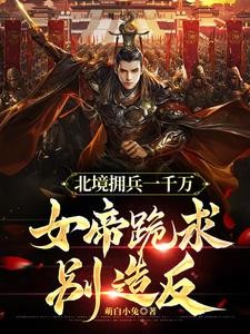 功高震主要杀我，我造反你后悔啥封面