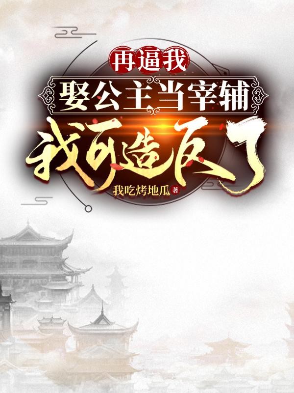 再逼我娶公主当宰辅，我可造反了封面