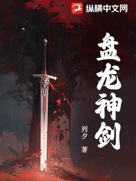 盘龙神剑封面