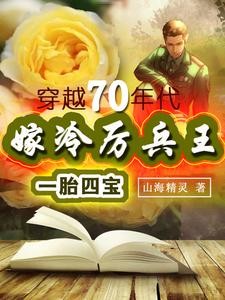 嫁冷厉兵王一胎四宝穿越70年代封面