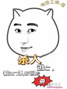 杀人逃亡,被豪门认回后杀疯了!封面