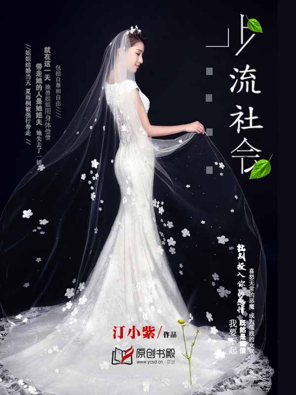 上流社会封面